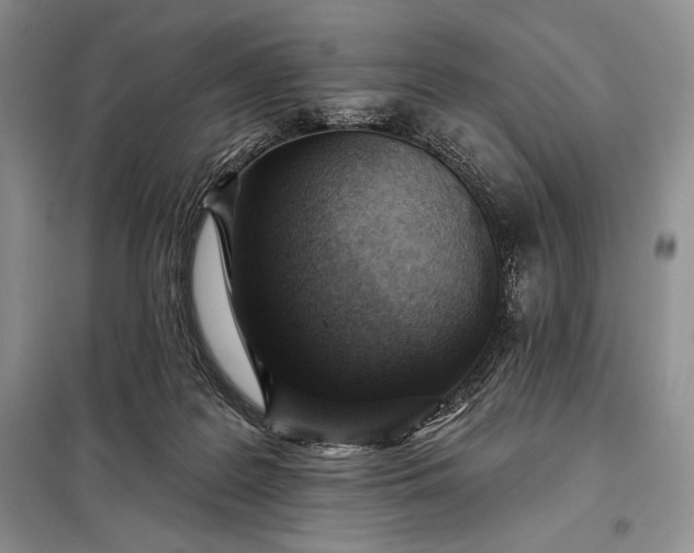 X0000098050219200804111321