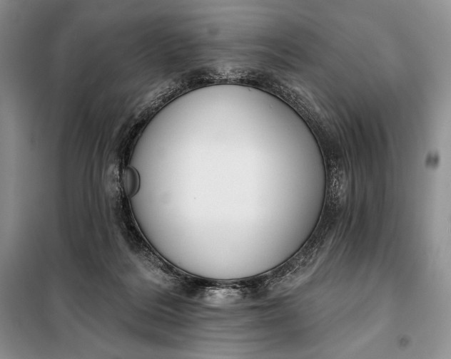 X0000098050220200804111321