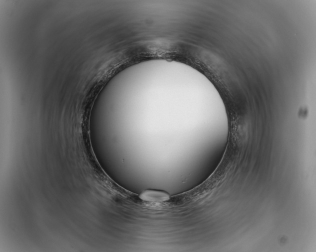 X0000098050221200804111321