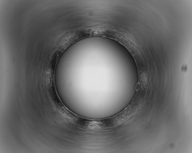 X0000098050222200804111321