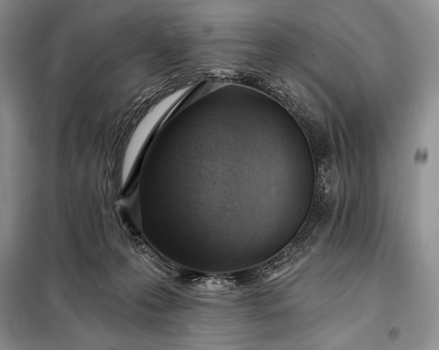 X0000098050223200804111321