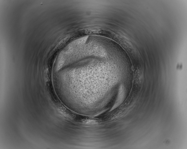 X0000098050224200804111321