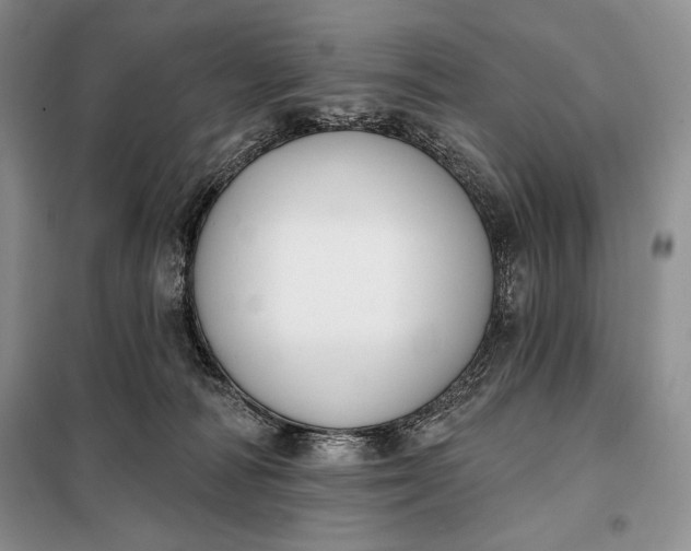 X0000098050226200804111321