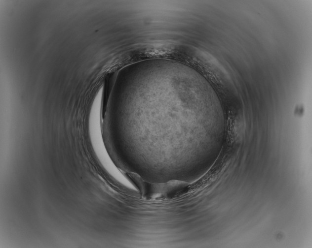 X0000098050227200804111321