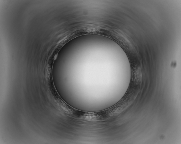 X0000098050228200804111321