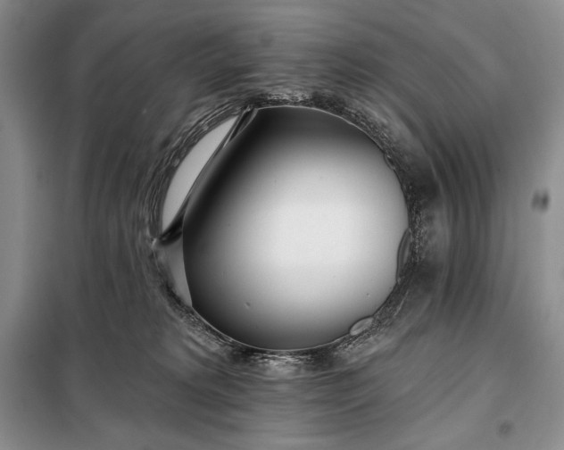 X0000098050229200804111321