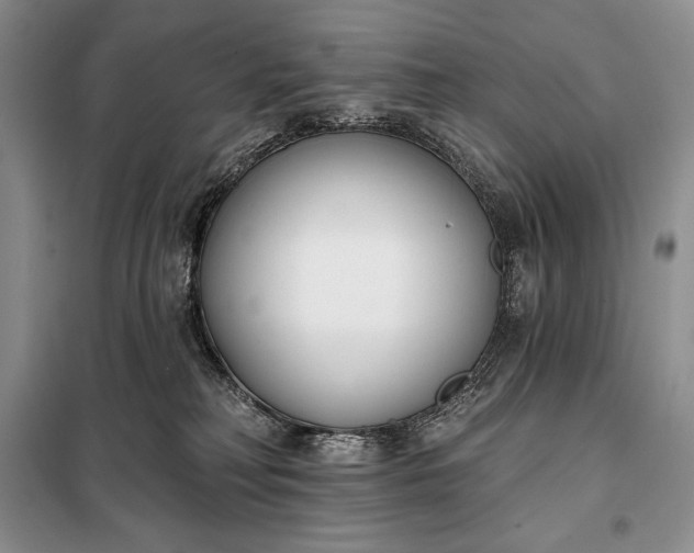 X0000098050230200804111321