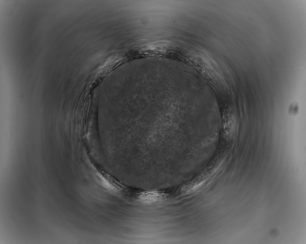 X0000098050231200804111320