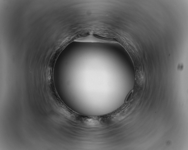 X0000098050232200804111320