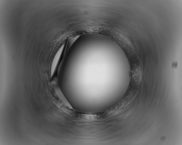 X0000098050233200804111320