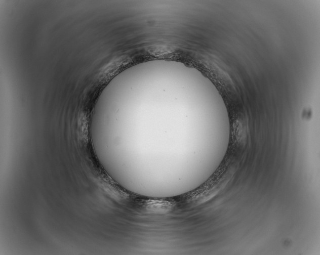 X0000098050234200804111320