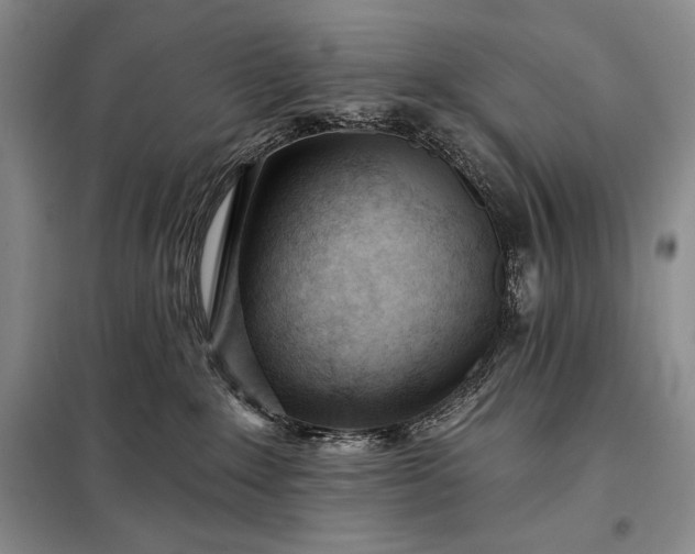 X0000098050235200804111320