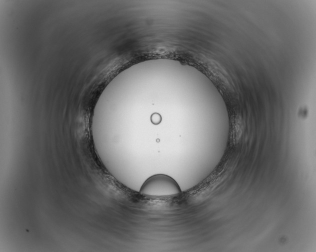 X0000098050236200804111320