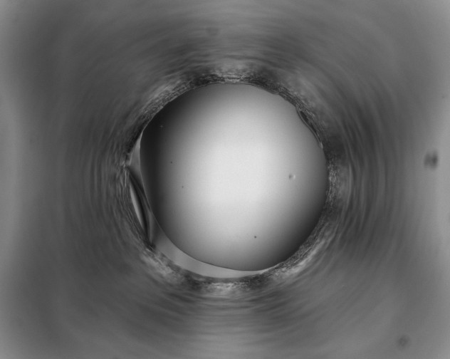 X0000098050237200804111320