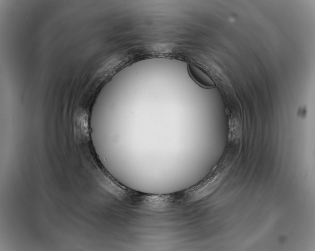 X0000098050238200804111320