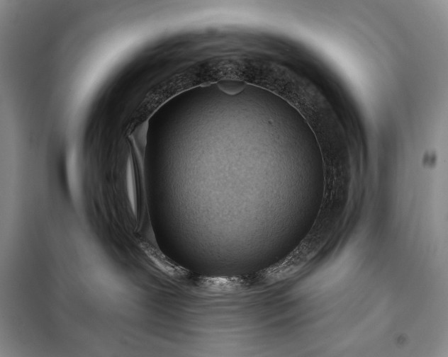 X0000098050239200804111320