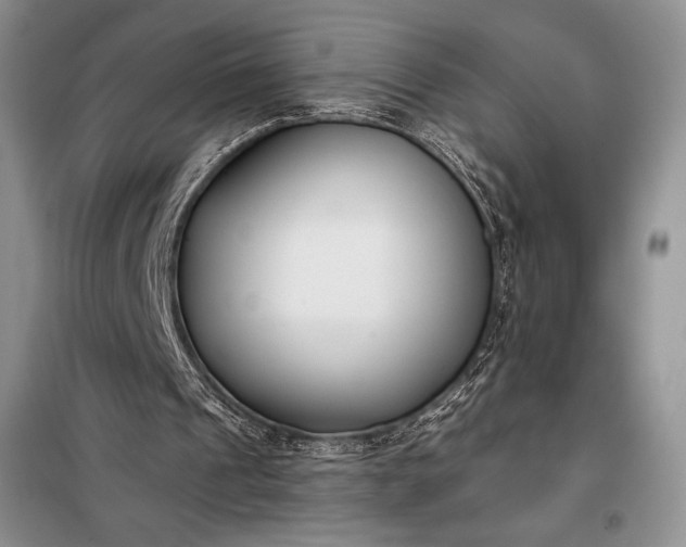 X0000098050241200804111320