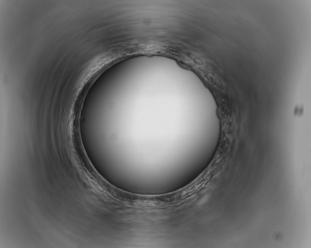 X0000098050242200804111320