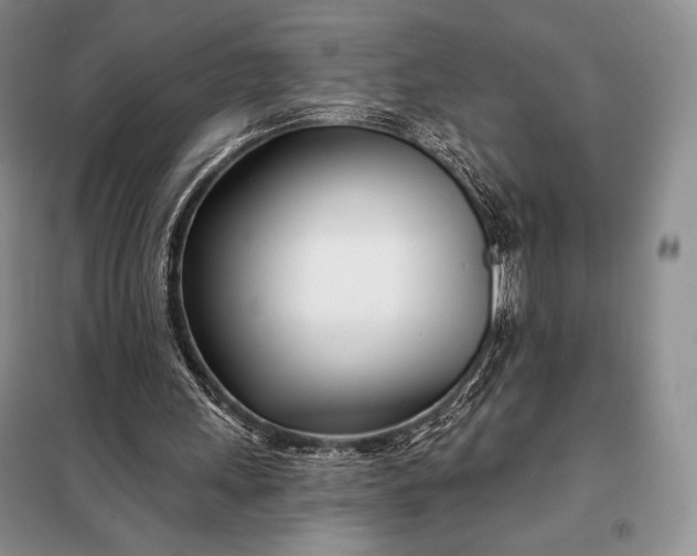 X0000098050243200804111320