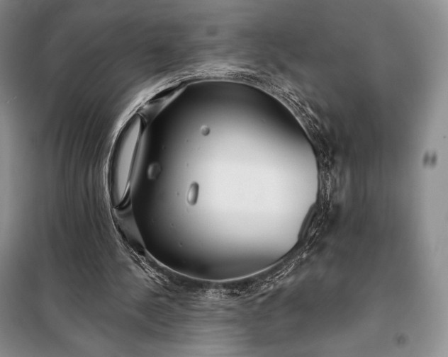 X0000098050244200804111320