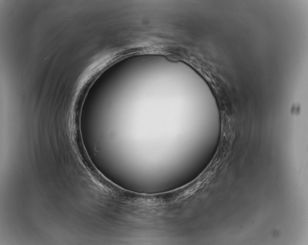 X0000098050245200804111320