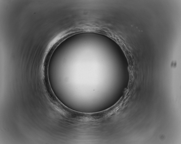 X0000098050246200804111320