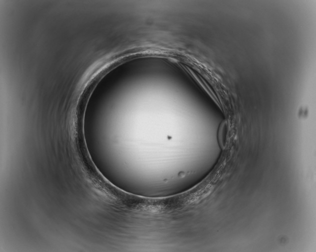 X0000098050247200804111320