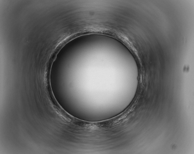 X0000098050249200804111320