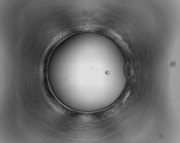 X0000098050250200804111320