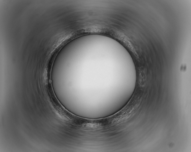 X0000098050251200804111320