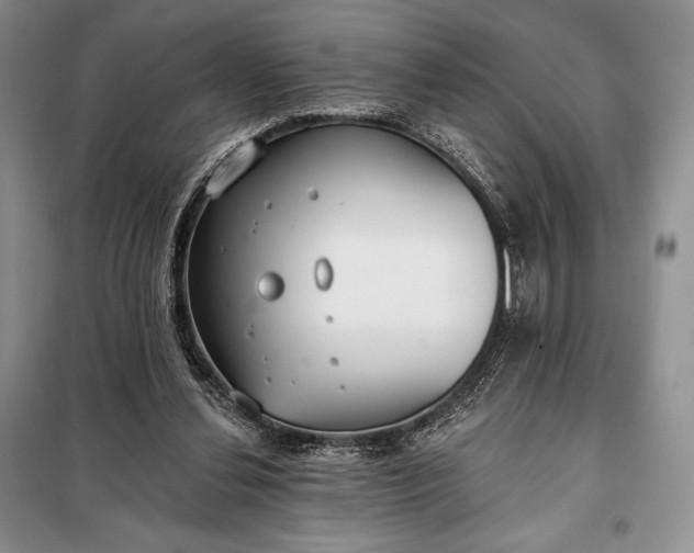 X0000098050252200804111320