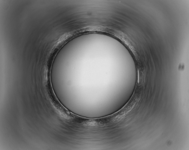 X0000098050253200804111320