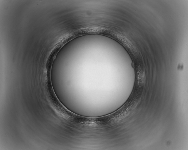 X0000098050254200804111320