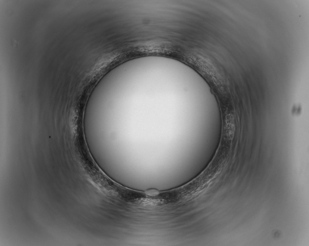 X0000098050255200804111320