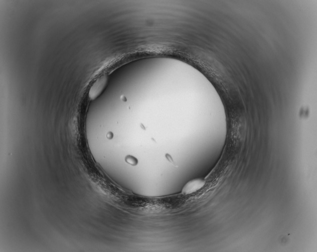 X0000098050256200804111320