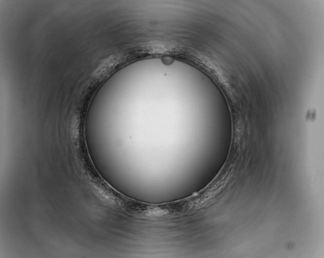 X0000098050257200804111320