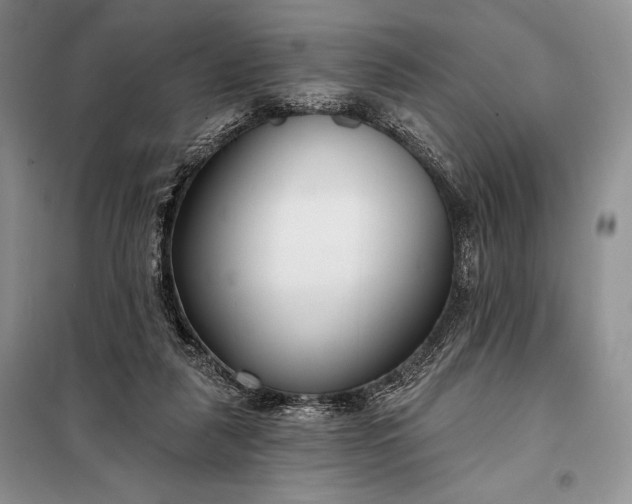 X0000098050259200804111320