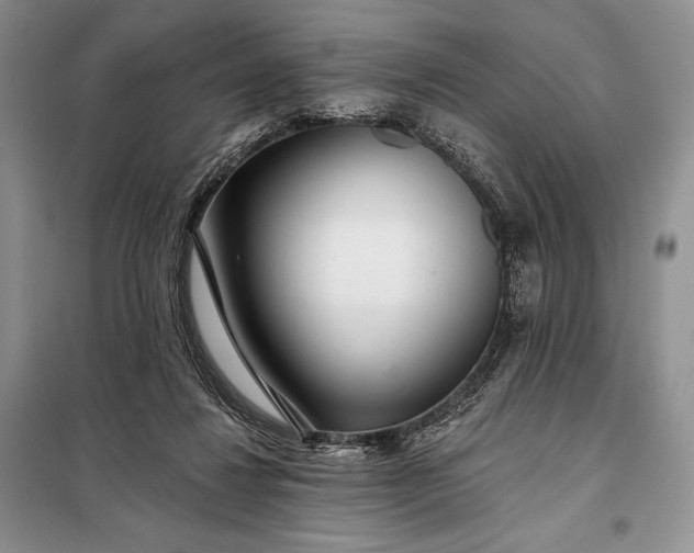 X0000098050260200804111320