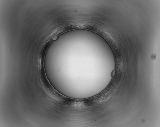 X0000098050262200804111320