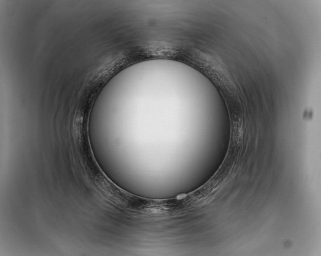 X0000098050263200804111320