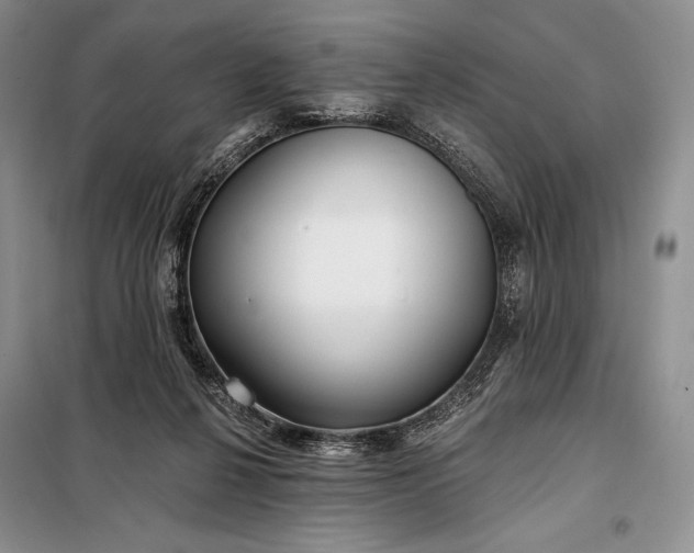 X0000098050264200804111320