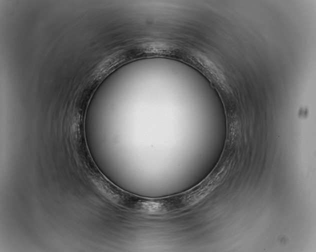 X0000098050265200804111320