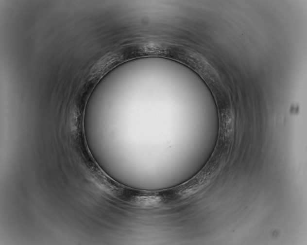 X0000098050266200804111320