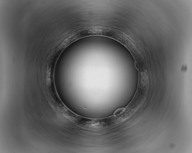 X0000098050267200804111320