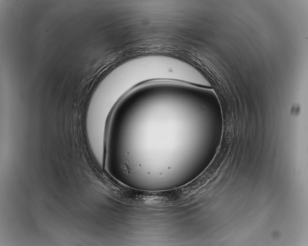 X0000098050268200804111320