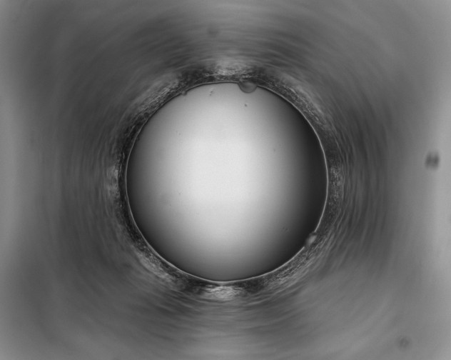 X0000098050269200804111320