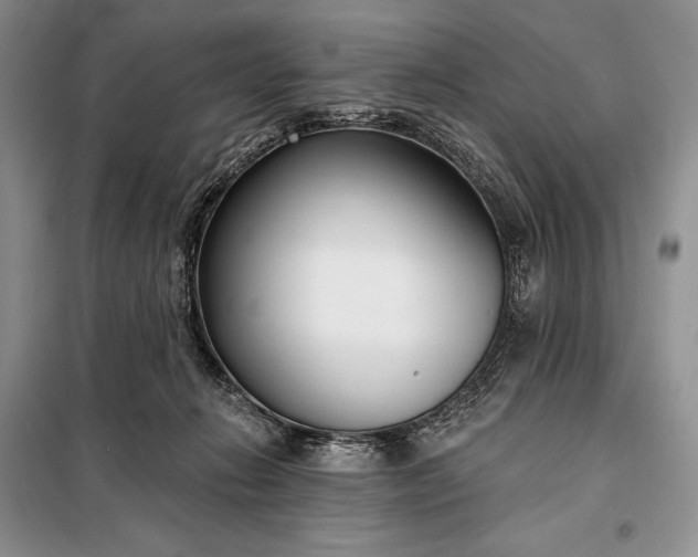 X0000098050270200804111320