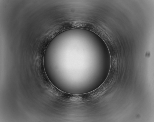 X0000098050271200804111320