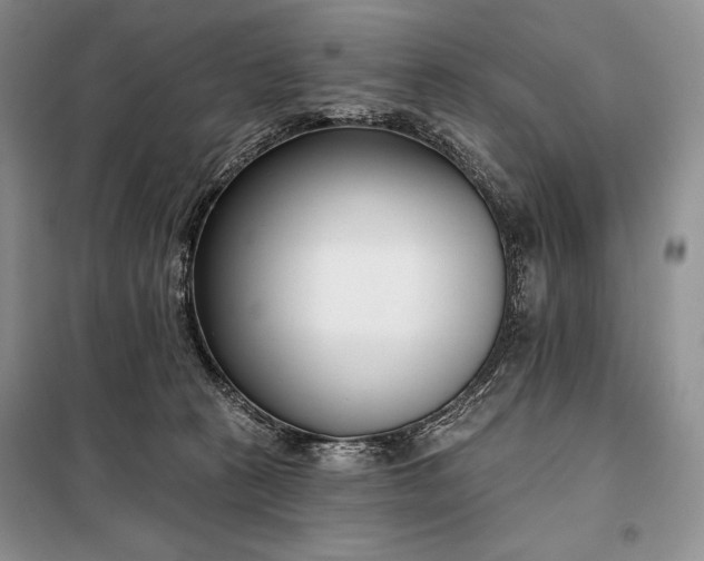 X0000098050273200804111320