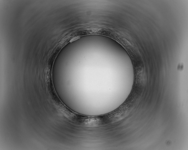 X0000098050274200804111320